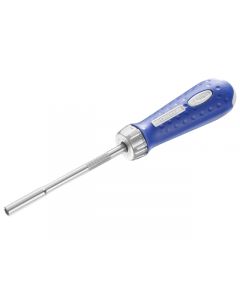 Britool Expert Ratcheting Screwdriver with Bit Set in the Handle E160801B 