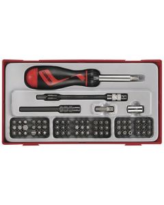Teng Tools 74 Piece Ratcheting Screwdriver & Bits Set in a Tool Control Tray TTMD74